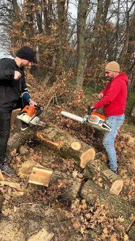 #fyp #for #you #stihl #germany #kosova #✌️ 