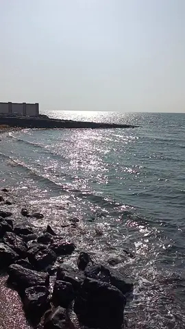 #البحر 