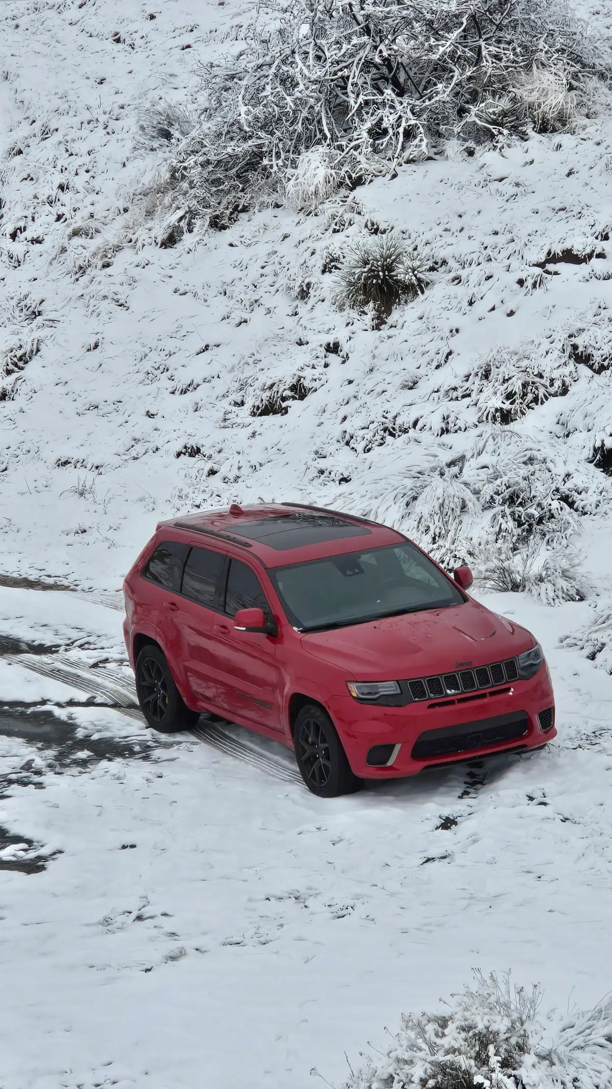 SNOW LEOPARD  #fyp #fypシ #FYP #VIRAL #weback #explore  #fypシ゚viral #trackhawk #Mopar #dodgeofficial #superchargerwhine #dodge #Californiafire #redeye #