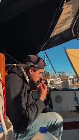 Its not always sunsets and dolphines.  #sailinglife #sailing #fyp #dream 