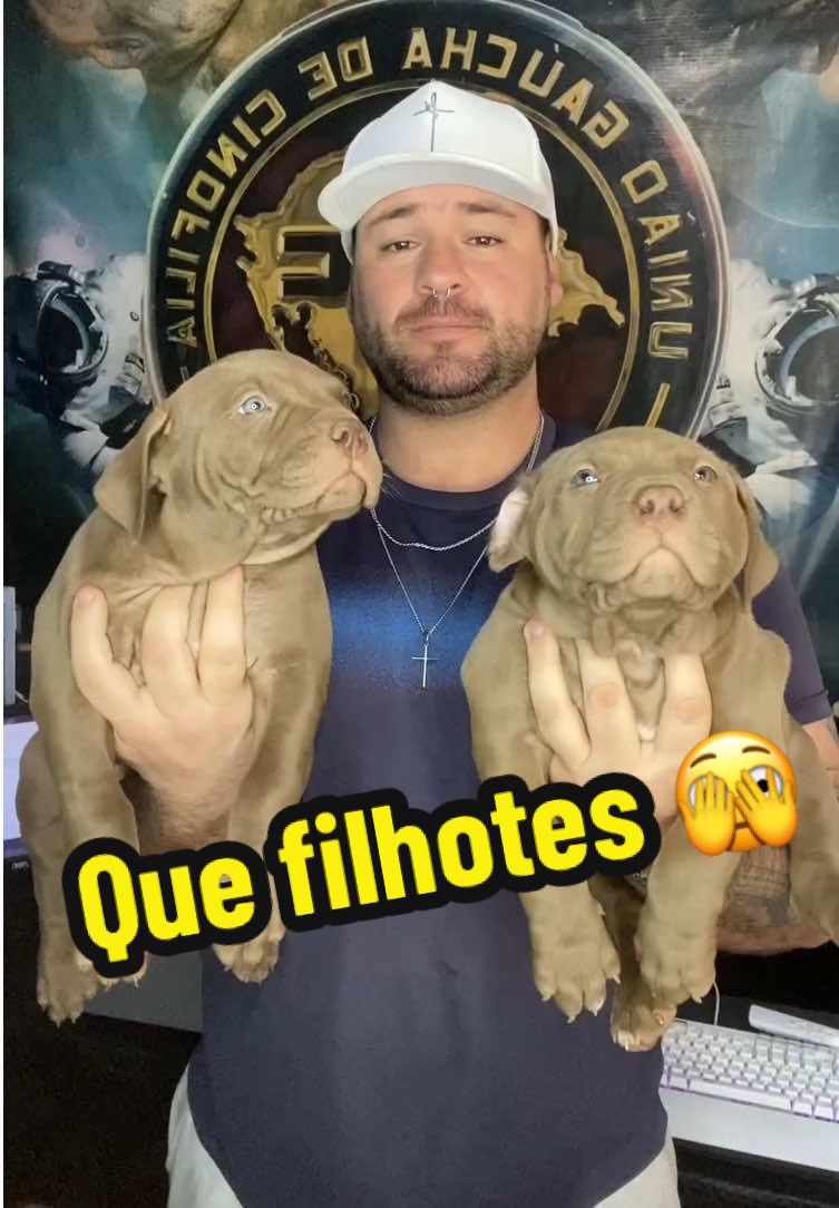 Essa ninhada me marcou muito: Timboá Keza Bulls x Big Mamute Bull Westh #pitmonster #pitmonsters #pitmonsterbrasil #pitmonsteroficial #pitmonsterbrasil🇧🇷 #pitmonsterworld #pitmonsterlove #americanbullyofficial #americanbullyworld #americanbullybrasil #pitbullnation #raça #cachorroetudodebom #cachorroévida #cachorroamigo #melhoramigodohomem #bigmamutewesth #lucienbulls 