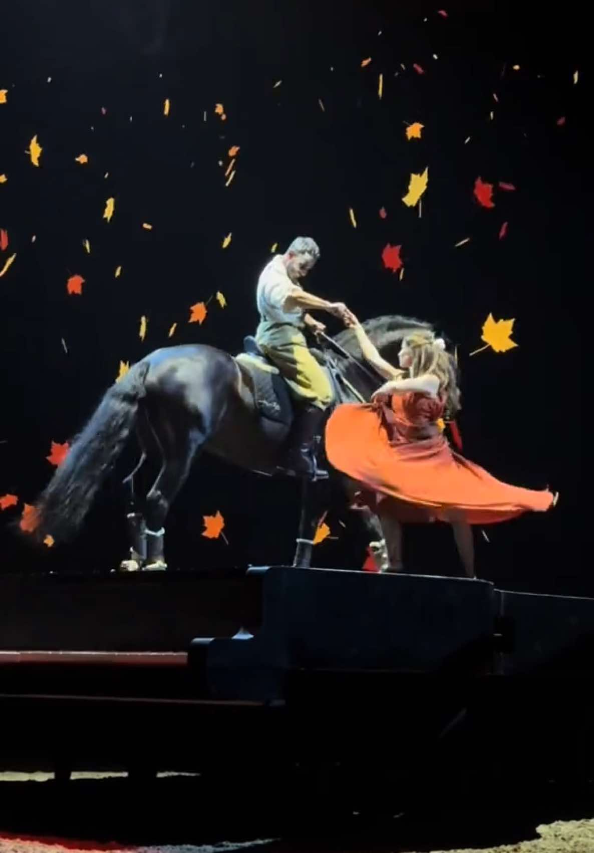The costumes of CAVALLUNA😍 #cavalluna #grandmoments #costumes #costume #pferdeshow #horseshow #showcostumes #stagecostumes #showtime #spotlight #costumedesign #pferde #horses #varietyshow 