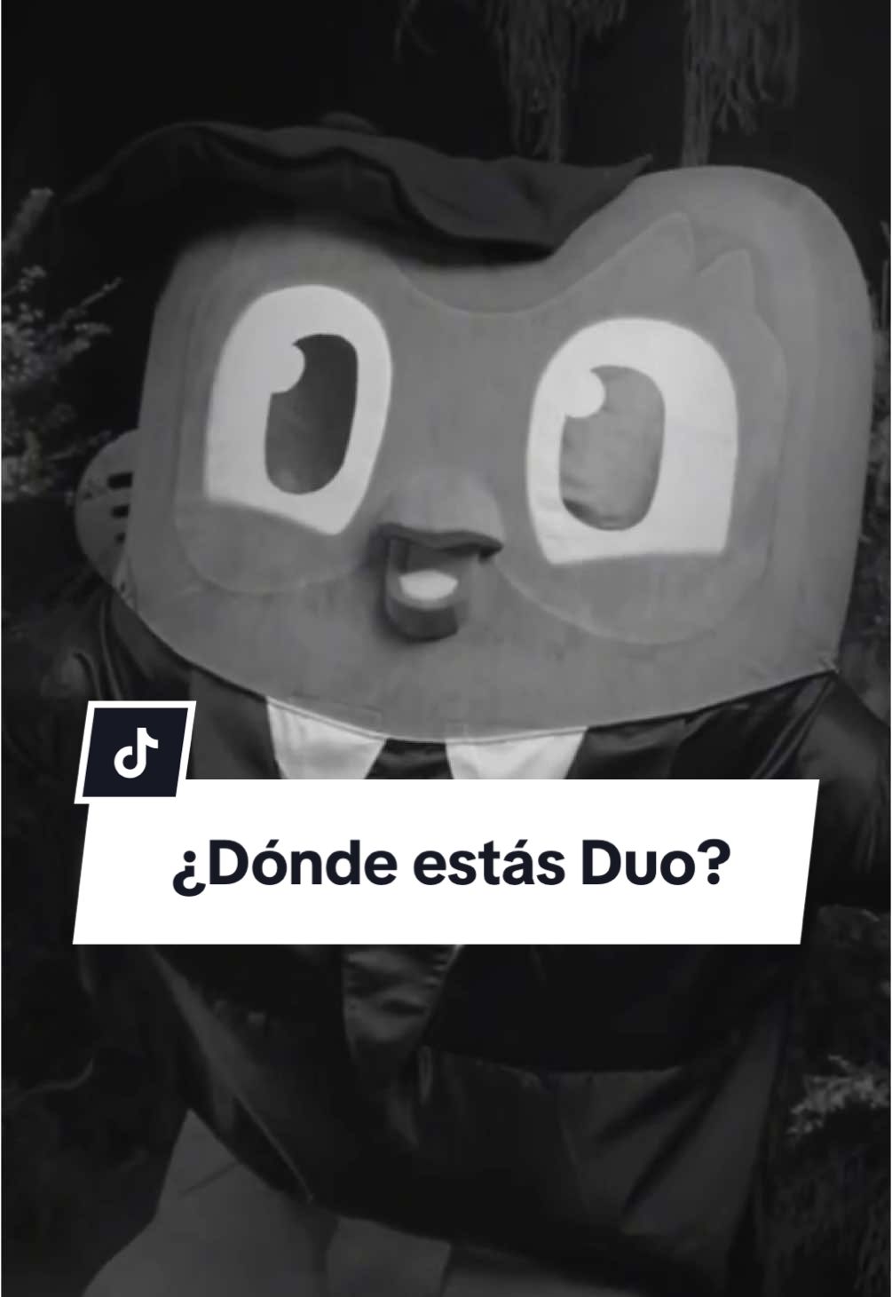 ¿Alguien sabe algo de mi amix personal? 🥺 #DondeestásDuoLingo @DuolingoEspanol 