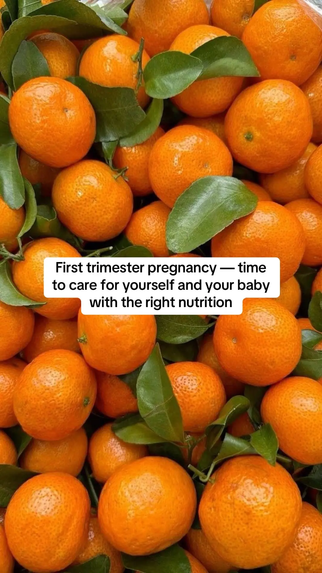 #firsttrimester #pregnancyjourney #healthypregnancy #momlife #pregnancyhealth #usa_tiktok 