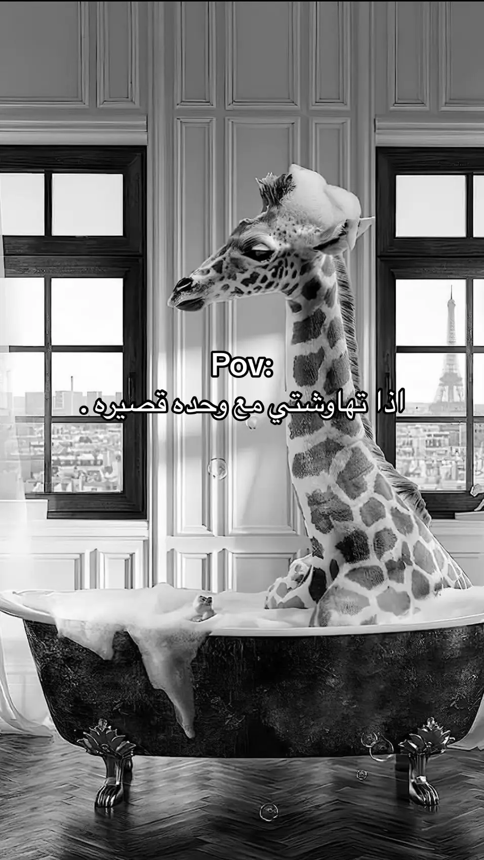 #explore #الشعب_الصيني_ماله_حل😂😂 #اكسبلورexplore #زرافه🦒💛 #fypシ 