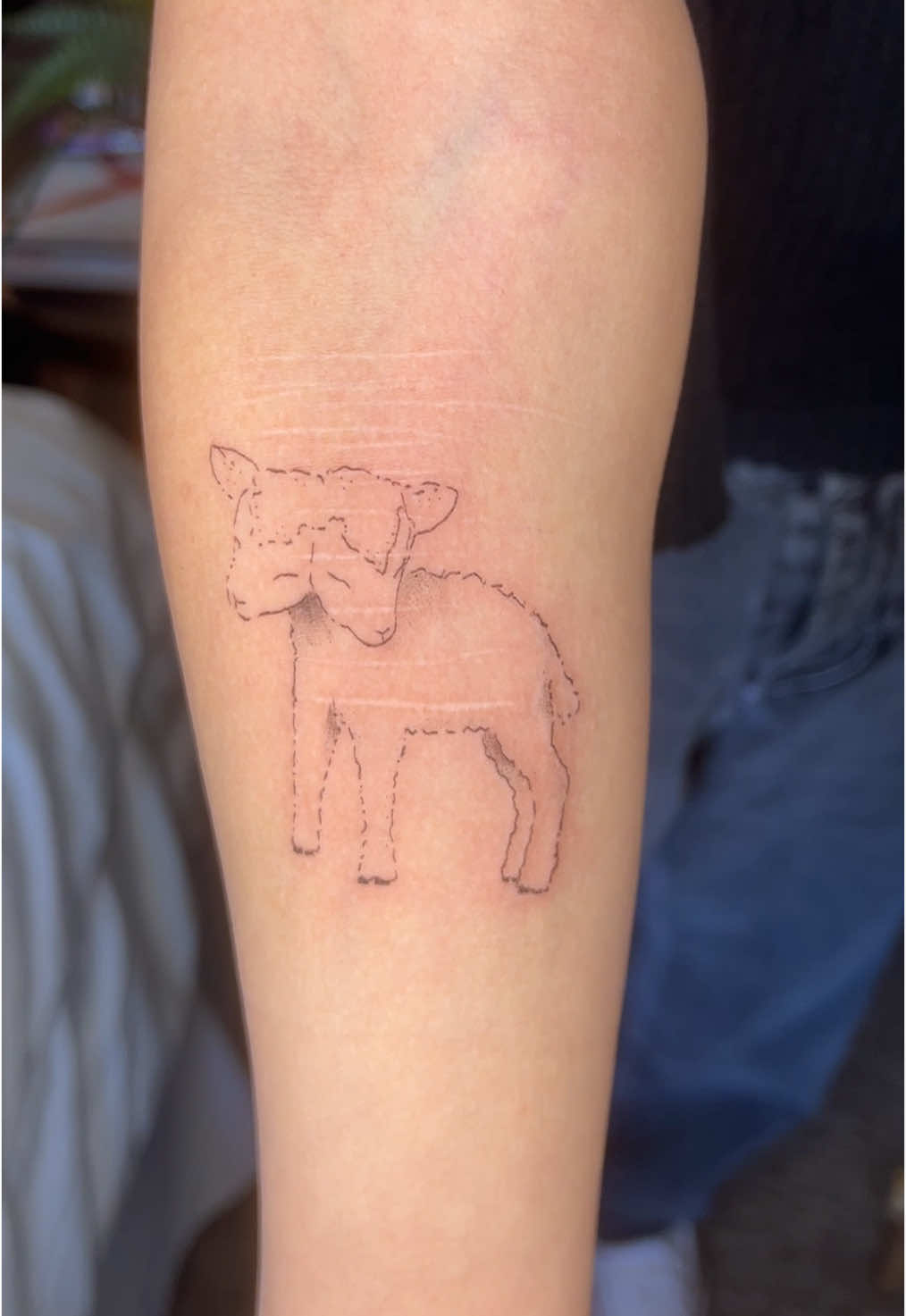 wee little lamb 🐑 😎 #tattoos 