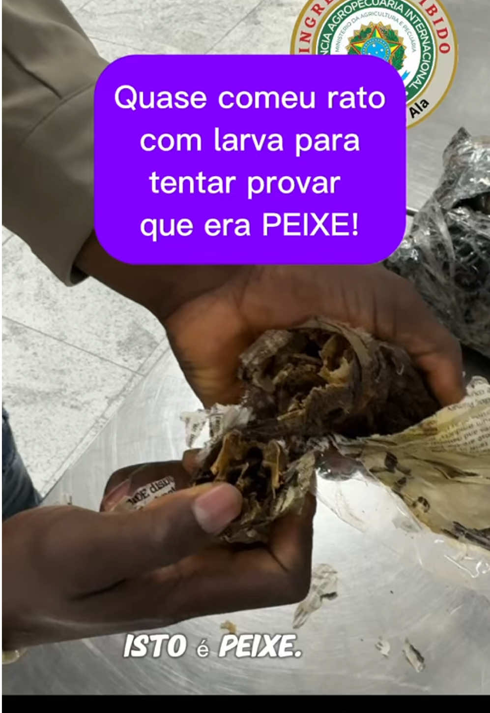 Rato 🐁 ou Peixe 🐟 ??? Com larvas… Independente se rato ou peixe é um possível veiculador de doenças portanto para ingressar precisa atender requisitos. Até onde vai a coragem para provar uma coisa que todos veem que não é verdade para tentar ter seus produtos liberados???    #vigiagro #vigiagrogruedu #vigiagrotadeolho #defesasanitaria #defesasanitariaanimal #agro #anffasindical #gruairport #anteffa #dsspanffasindical