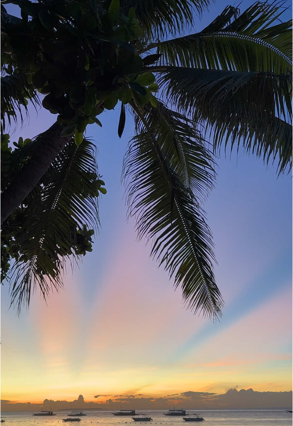 When Bohol sunrise shows its power.  One of the best sunrises 🌅  #philippines  #visitphilippines  #philippinestiktok  #philippines🇵🇭tiktok  #foryou  #travel  #beachday  #sunrise  #bohol  #boholisland 
