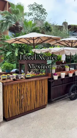 I will be back, I only saw probably 10% of what there is to do😭 #travel #mexico #hotelxcaretmexico #xcaret #2025 