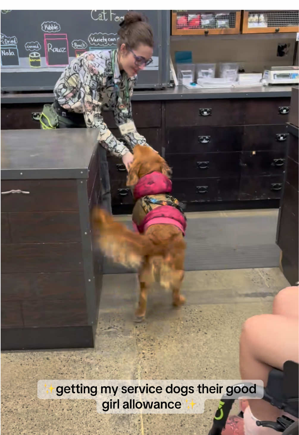 The good girls needed a refill on their good girl bucket allowance! Thank you everyone for your support, follows and tipping Autumn and Ohana❤️ #servicedog #servicedogsoftiktok #foryoupage #fyp #servicedoghandlerlife #servicedogintraining #dalmatian #dalmatiansoftiktok #goldenretriever 