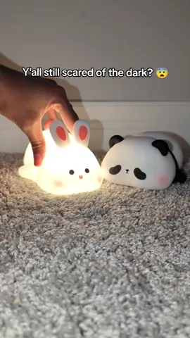Brighten your space with our panda Silicon Lamp! Adorable design, flexible silicone, and a playful touch. #panda  #lamp #fyp #xyzbca 