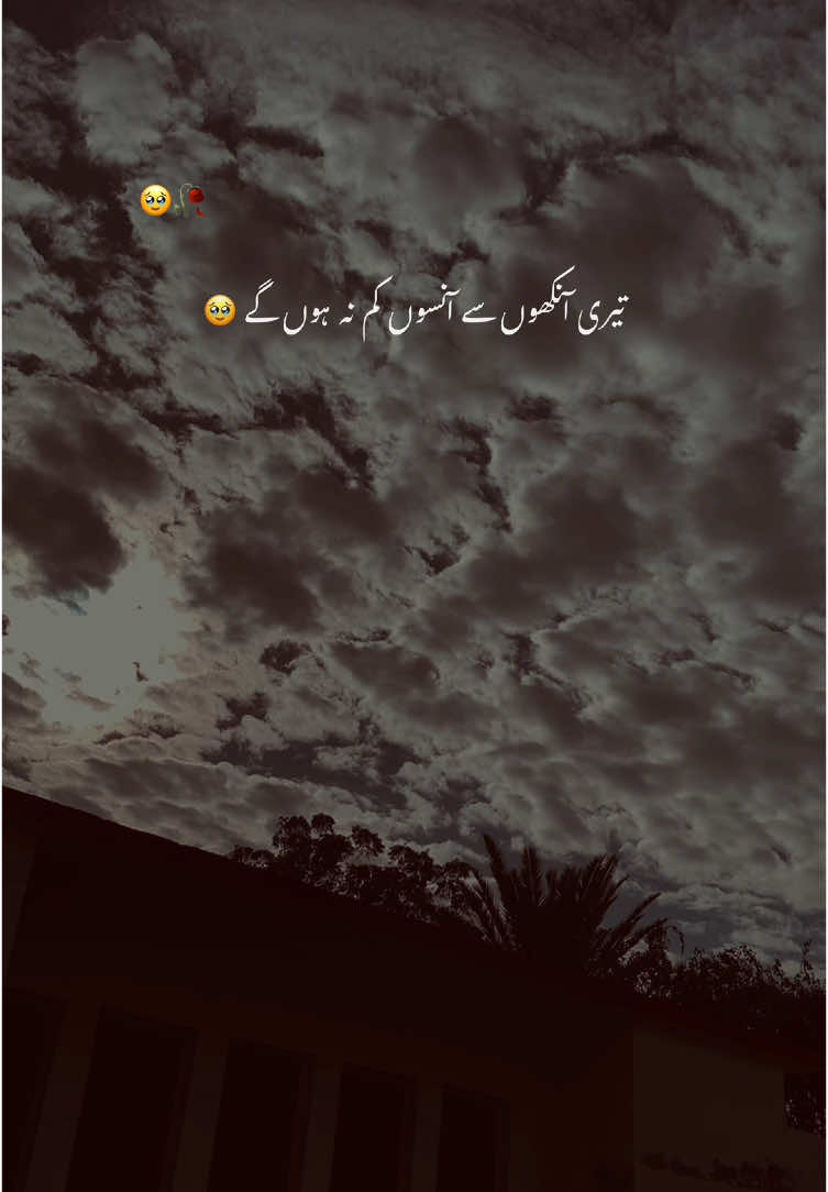 مگر وہ ہم نہ ہوں گے 😩💔#aesthetic #poetry #poetrystatus #grow #account #foryou #foryoupage #1million #rehann_vibe 