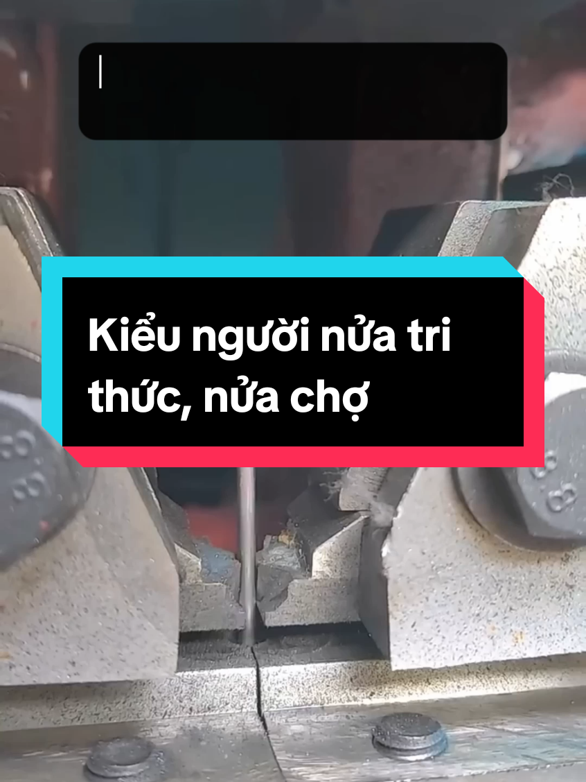 Kiểu người nửa tri thức, nửa chợ #trietlysong #trietlycuocsong #sachhay #baihoccuocsong 