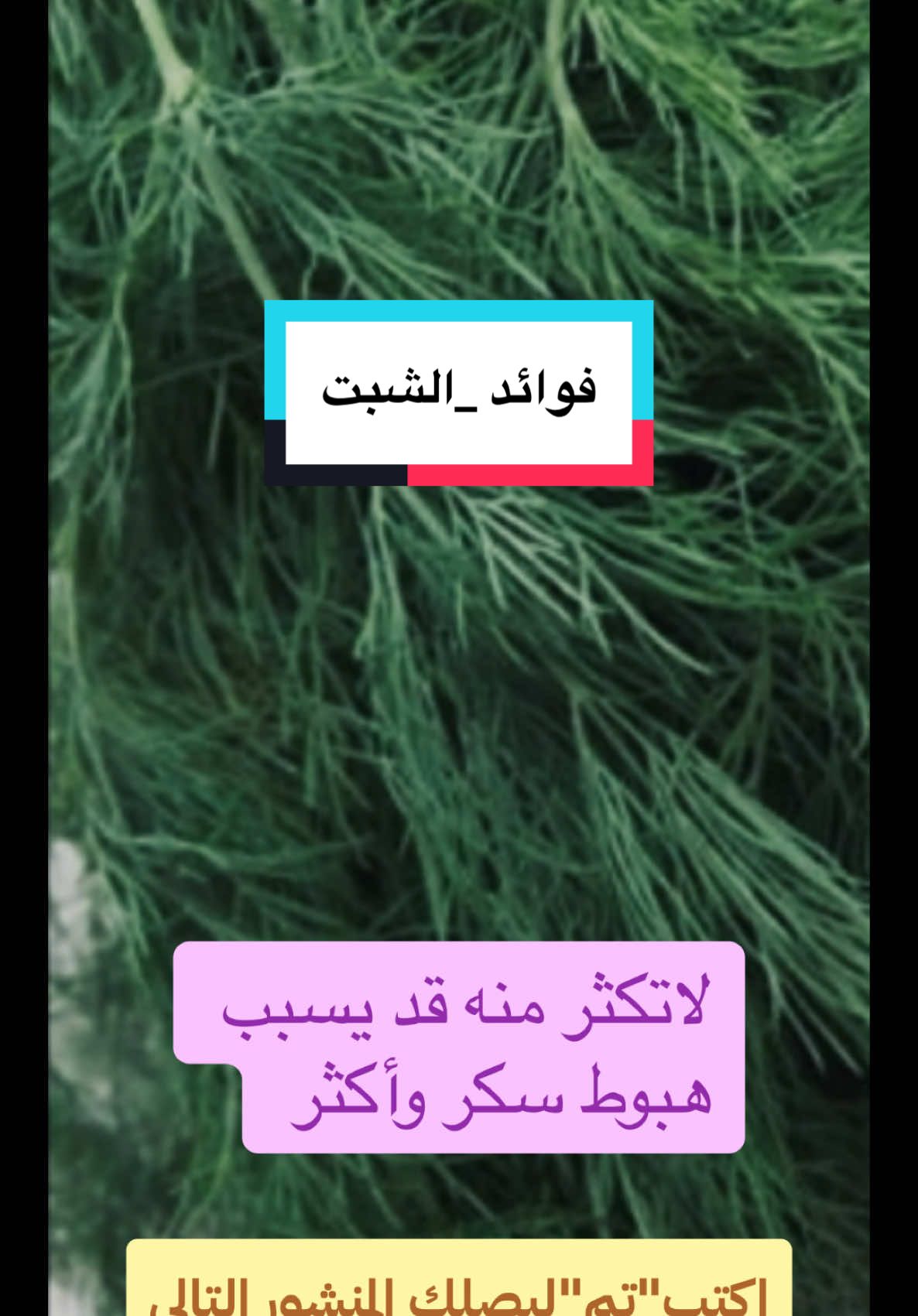 فوائد الشبت أو البسباس#تغذية #تغذية_صحي #شبت #بسباس #viralvideo #viral #foryou #foryourpage #fypシ゚viral #viraltiktok 