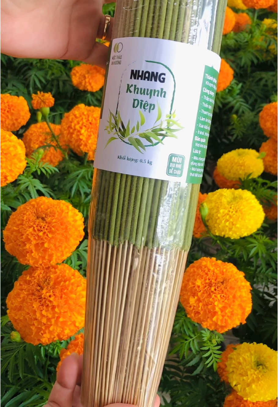 Nhang khuynh diệp mộc thảo an hương ,dùng để thắp hương và có công dụng xua đuổi côn trùng #nhang #nhangsach #nhangkhuynhdiệp #tet2025 #ÝNgaHD #côngviecmoingay 