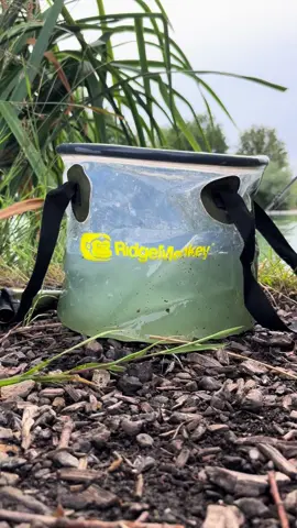 Who’s got them rods out? 🎣 #fyp #foryou #foryoupage #fishing #fishinglife #fishtok #angler #carpfishing #nayzofishing #viral 
