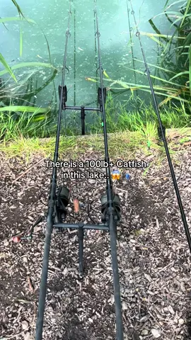 At any moment it can just go.. #fyp #foryou #foryoupage #fishing #fishinglife #fishtok #angler #carpfishing #nayzofishing #viral 