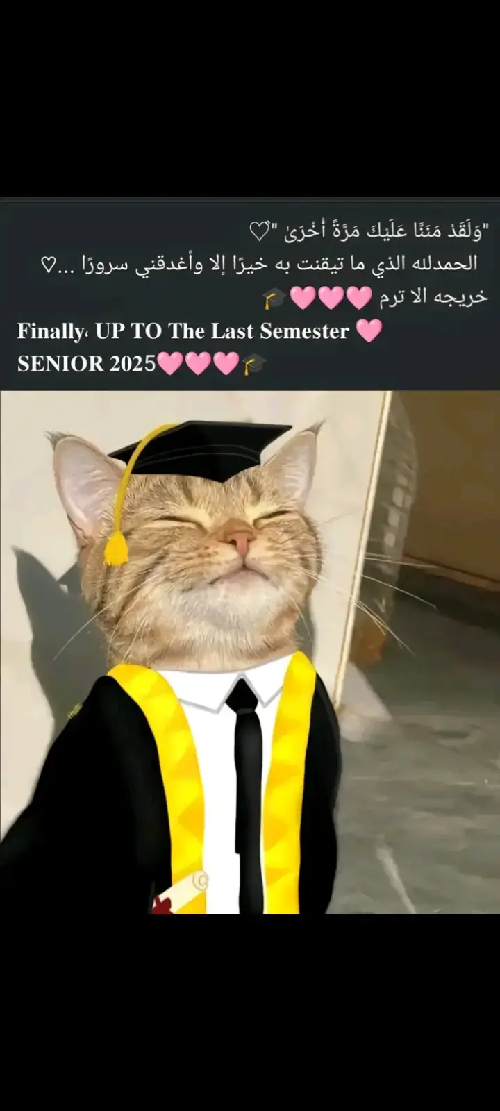 🎓🙈