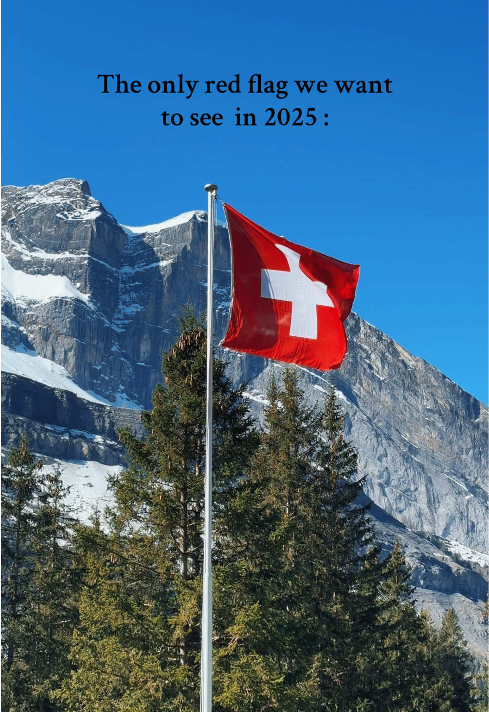 The only red flag we want to see in 2025 :🇨🇭Switzerland’s flag 🙃😅🫶🏼  #suisse #switzerland #🇨🇭 #redflags 