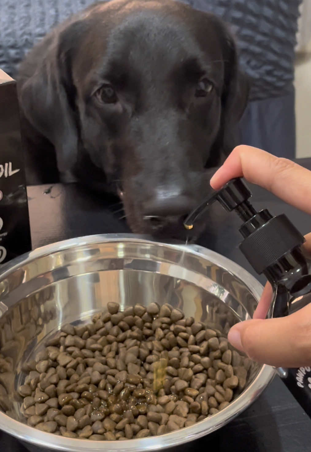 PawPotion Wild Salmon Oil by @Pawpotion  #salmonoil #pawpotion #petessentials #petsupplies #petproducts #dogsph #petnutrition 
