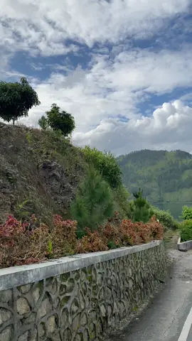 Pesona jalan berliku pinggiran danau toba😍😍 Paket wisata sudah termasuk mobil + Supir + minyak. Info lebih lanjut hubungi  Telpon/WA : 081320461190  Follow Instagram @habibandri_27 Paket Samosir 1.300K (1 Day) / MOBIL 1. Bukit Holbung 2. Sibea-Bea 3. Air Terjun Efrata 4. Danau Sidihoni 5. Pantai Pasir Putih Parbaba 6. Hutasiallagan (Pengadilan Raja Batak) 7. Patung Menari Sigale-Gale 8. Tomok 9. Belanja Souvenir Kapasitas maksimal 6 orang (7 orang + supir) Dijemput di 1 titik. Harga paket sudah termasuk (mobil, supir, minyak) Harga paket tidak termasuk (parkir & tiket masuk wisata) #harentcar #visitsumut #brastagi #samosirindah #bukitholbung #paribanberastagi #menarapandangtele #danautoba #bukitsenyum #wisatasumut #sewamobilmedan #sibeabea #airterjunefrata #fypシ #fypシ゚viral🖤tiktok 