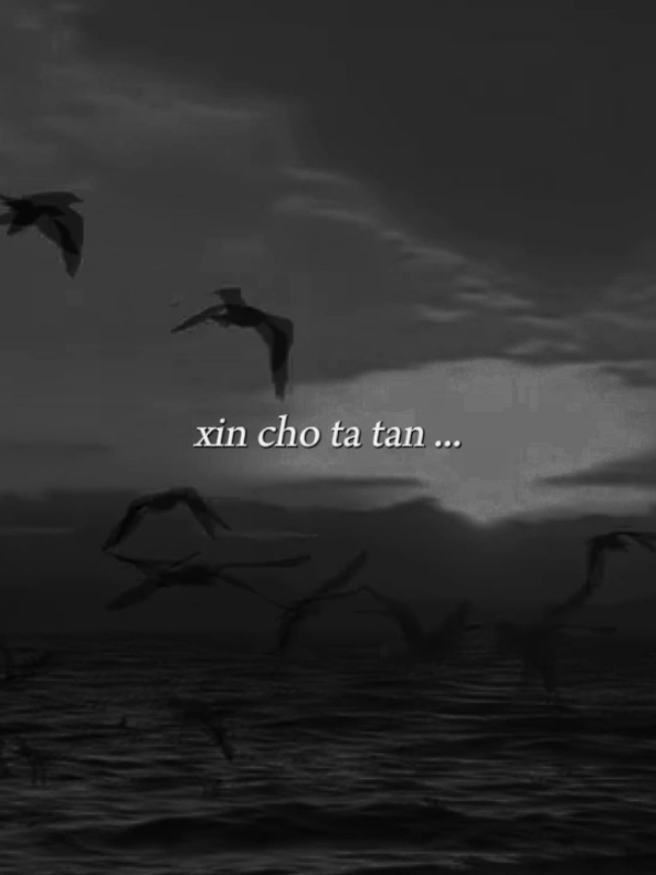 xin cho ta tan vào những đắm đuôi miên man... #nhacsuy #xuhuong #thao #xuhuong 