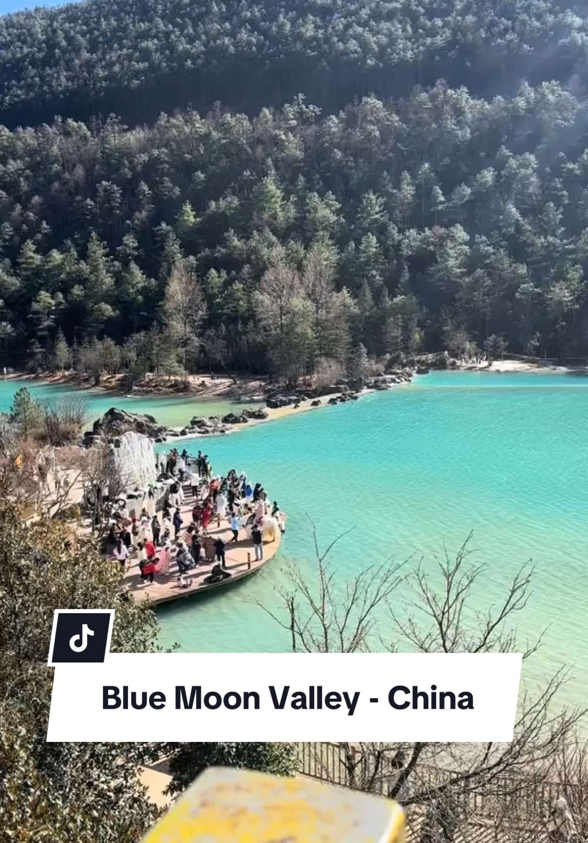Our DIY CHINA Trip! Only those who’ve been to Blue Moon Valley knows the exact feeling. Missing Blue Moon Valley a little too much. #china #yunnan #kunming #kunmingchina🇨🇳 #lijiang #bluemoonvalley #bluemoonvalleychina #dali #foryoupageofficiall #foryoupage #shangrila #travelwithkids #halalfood #fyp 