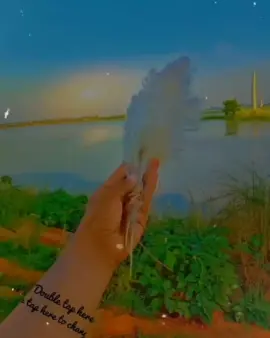 প্রিয় ভালোবাসি তোমায় আমি ❤️🥀#CapCut #foryoupage #shiyam_005 #bangladeshtiktok 