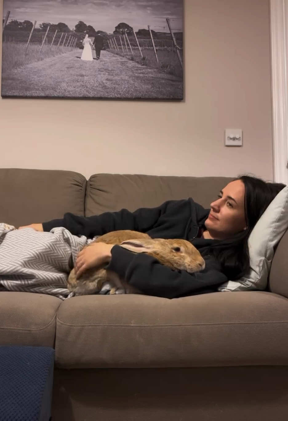 Big bunny cuddles 🐰 Note. Winifred wears socks for medical reasons. We don’t advocate dressing rabbits in clothes for non medical reasons. #bunny #rabbit #rabbitsoftiktok #petlove #bunniesworldwide #bunnies 