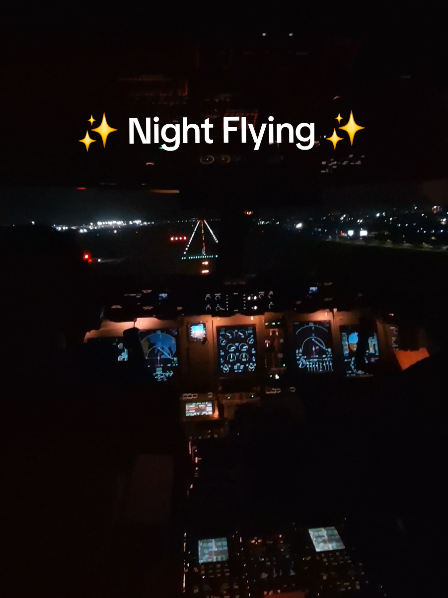 Last landing for the day. Good night! 🥱 #aviation #girlpilot #cockpit #nightflyer 