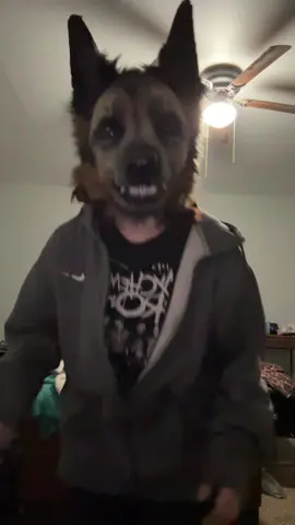 animal? cannibal..? #realisticfursuit #fursuit #furry #gsd #germensheperd #germanshepherdfurry #germanshepherdtherian #omnitherian #dogtherian #realistictherianmask #therian #therians #therianthropy #theriancommunity #therianfyp #theriantiktok #therianquadrobics #quadrobics #fyppppppppppppppppppppppp #fypp #fypppppppppppppp 