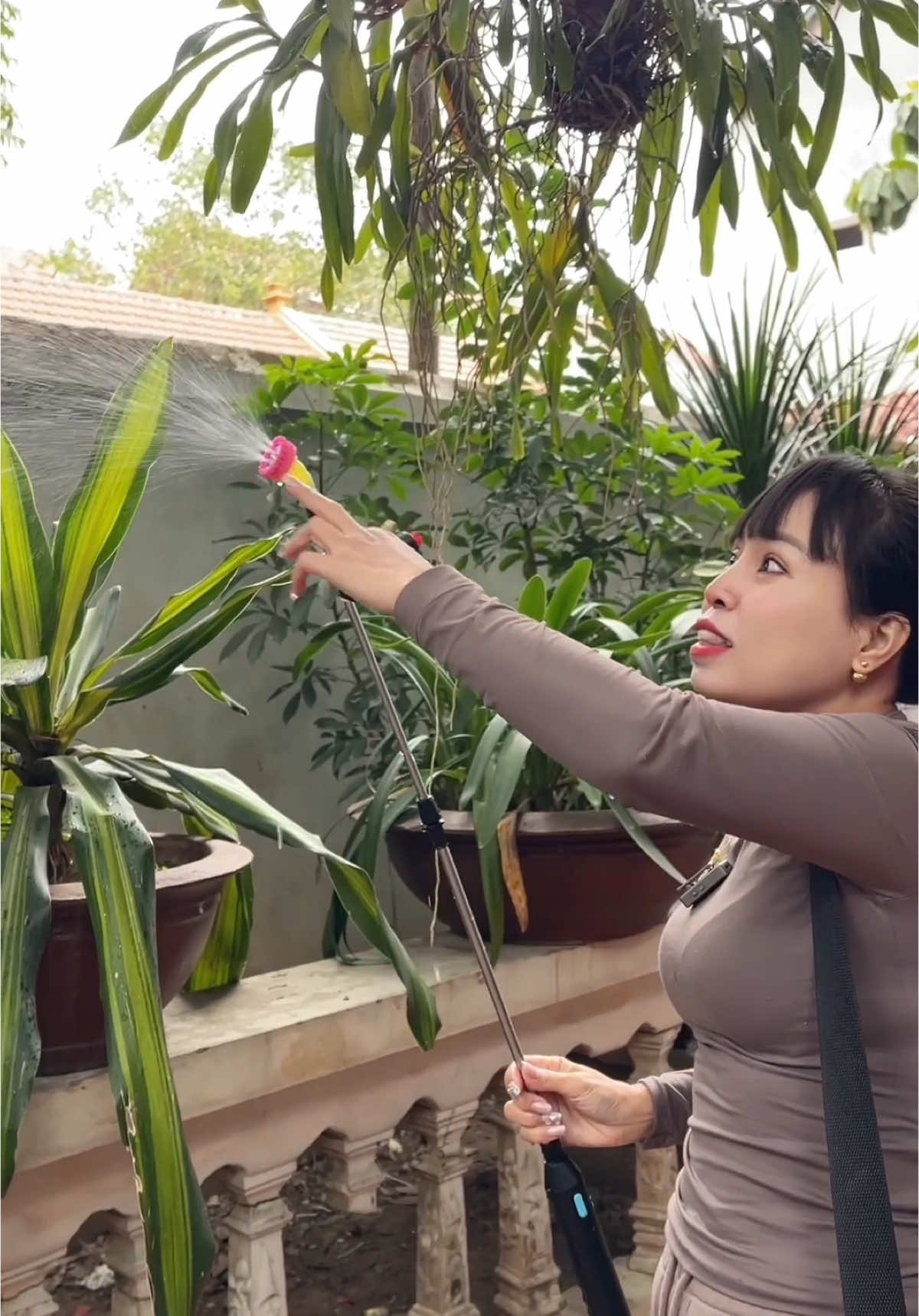 Bình xịt nước tưới cây cảnh tiện ích cho mọi nhà #binhtuoicay #binhphunthuoctrusau #hahienhoa1 #xuhuong #thinhhanh 