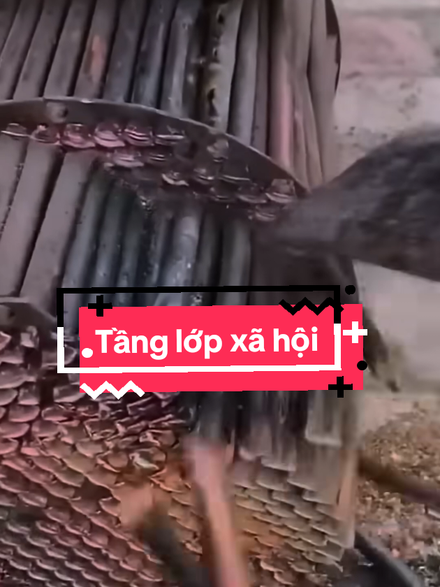 Từ tầng lớp thấp leo lên thành ông chủ nhỏ nhờ vào #sachhay #trietlysong #baihoccuocsong #trietlycuocsong 
