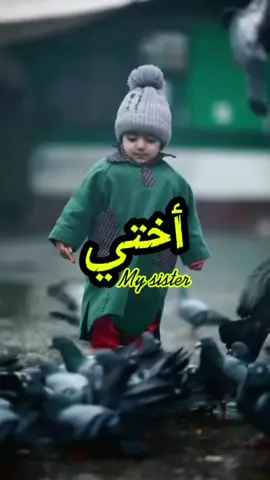 كلام عن الأخت #اختي #الأخت #احب_اختي_بلا_قصدن_ومصلحة #احب_اختي #رسالة_لاختي #كلام_من_ذهب #كلام_من_القلب #تصويري #تصاميم #ترند #foryo #foryoupage❤️❤️ #اقتباسات #خواطر #شعراء_وذواقين_الشعر_الشعبي #اكسبلور #شعر_عن_الاخت #تصميم_فيديوهات🎶🎤🎬 #حالات_واتس #اللهم_اختي #fyp #fpyシ #video #cap_cut #tik_tok #mysister #lovesist #عائلة#دلال#اختي_حبيبتي#اختي_الغالية#احبك#اختي❤ 