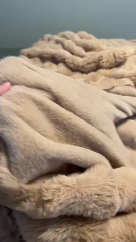 This is the blanket you want! #plushblanket #blanket #softblanket #giftideas #valentinesdaygift #oversizedblanket #tiktokshop #tiktokshopfinds #fyp 