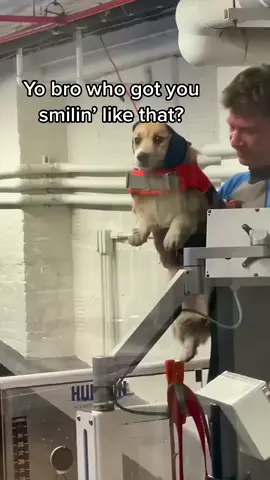 Best. Job. Ever.
