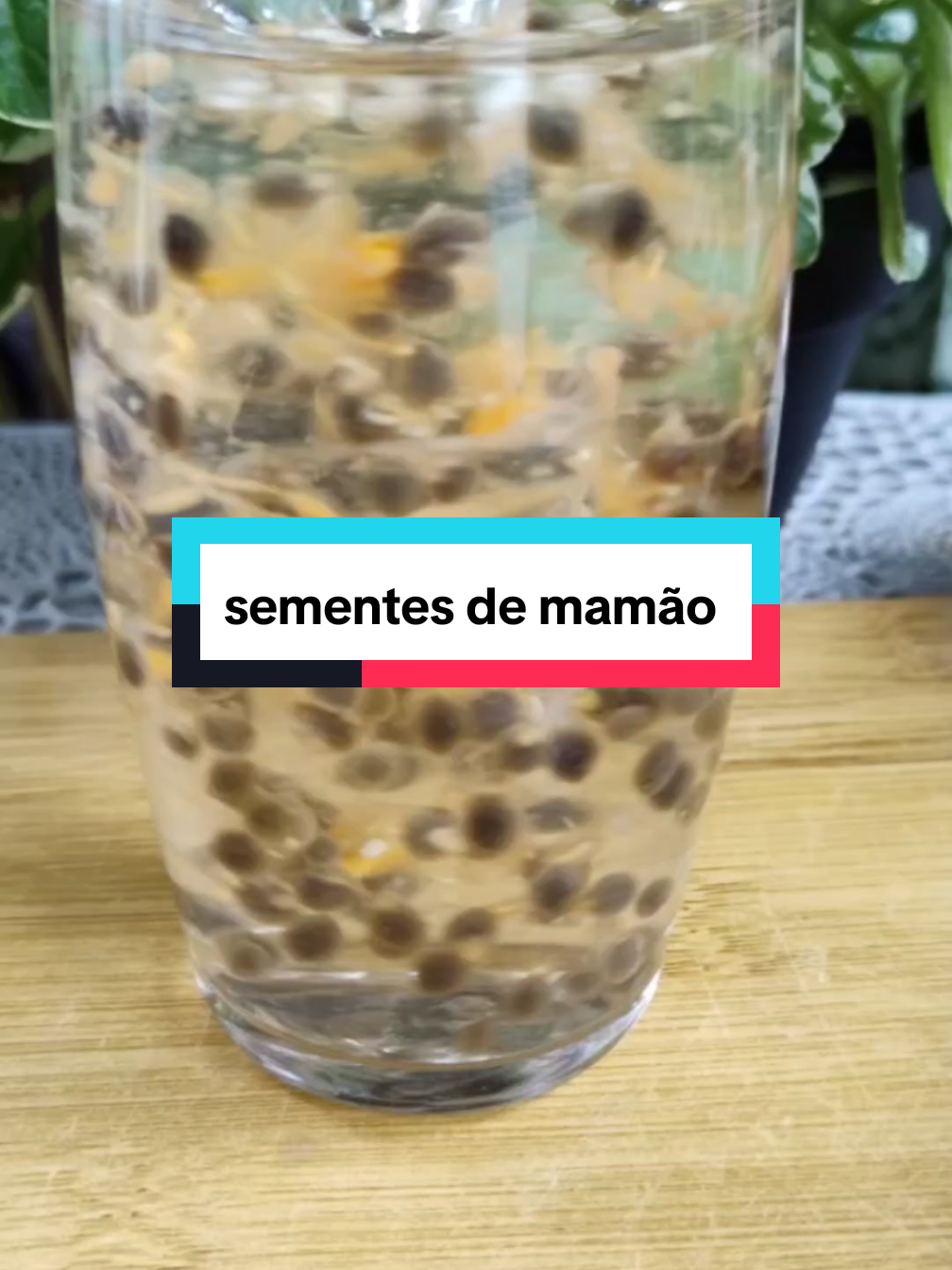 sementes de mamão #receitasnaturais #dicas #beneficios #saúde #remédionatural 