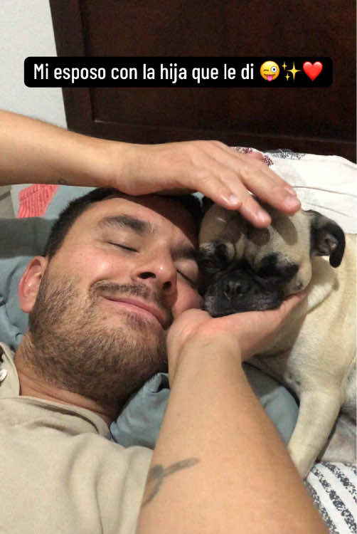 ¡Soy la consentida de mi papá! 🫶🏻 #perropug #pug #papá #tiktok #viral #trend #amorperruno🐶 