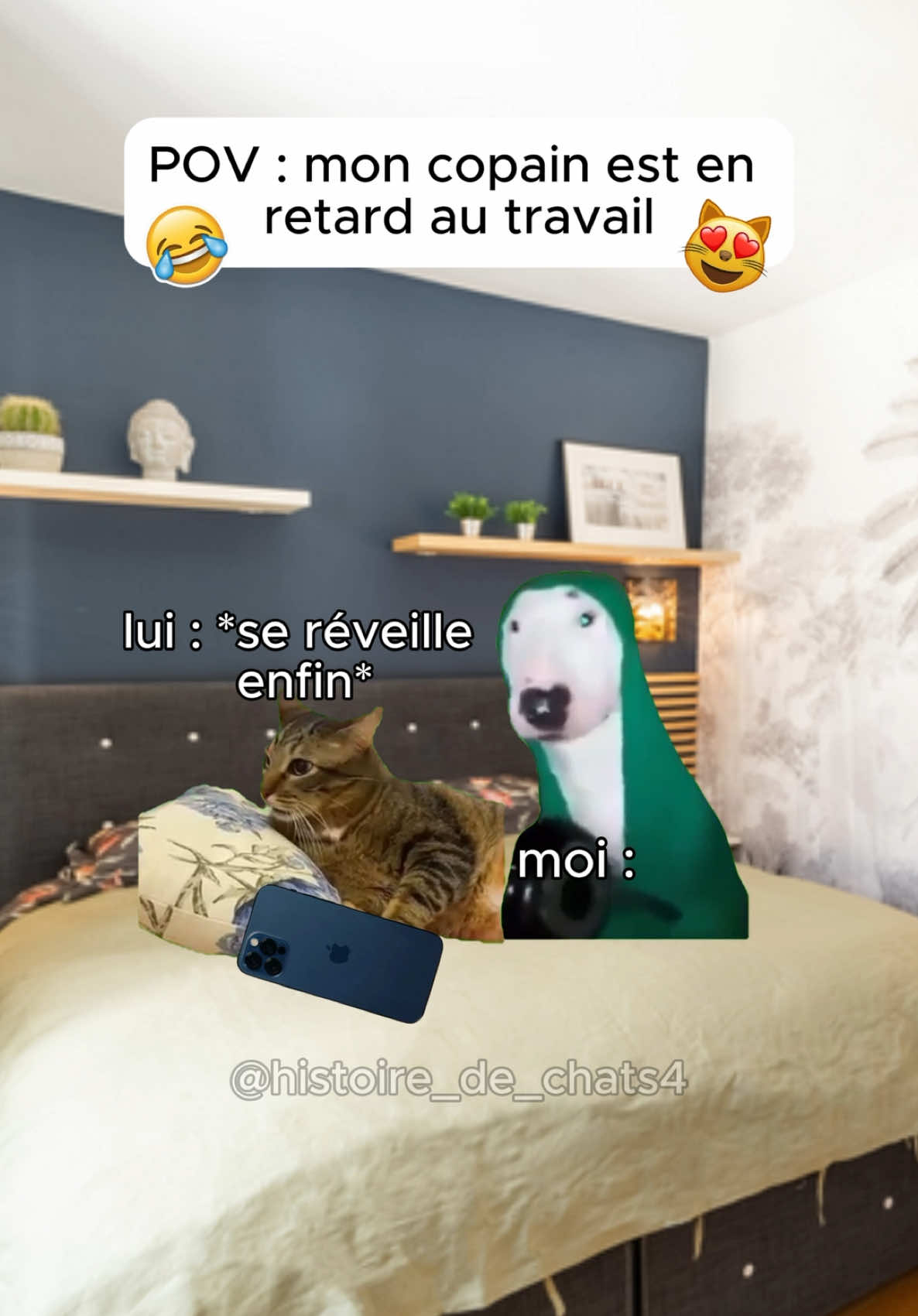 I am back 🙏 😸 #catmeme #chatmeme #histoiredechats #chat 