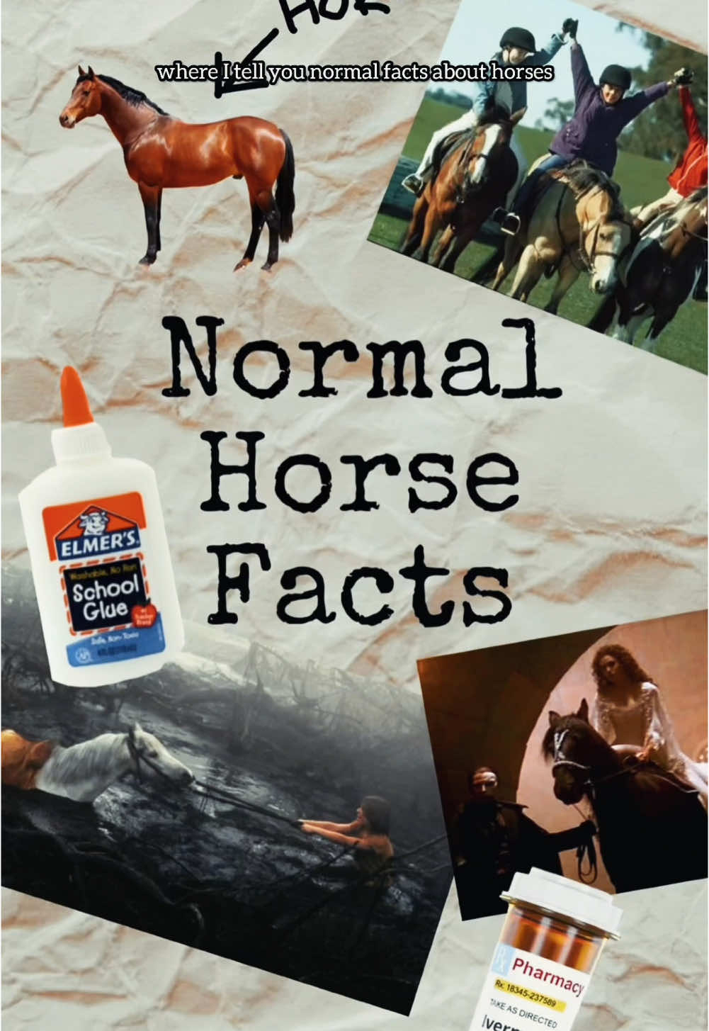 I’m working on a new Normal Horse Facts! What have you always wanted to know about horses? Let me know in the comments! 