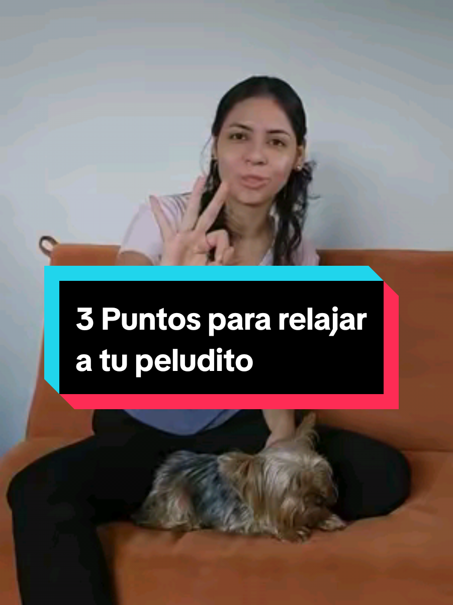 🦴🐾 ¿Tu peludito está ansioso? ¡Prueba estos tips de relajación! 🐶💆‍♀️🐱 En este video te compartimos trucos fáciles y efectivos para calmar a tu mascota y hacer que se sienta segura y tranquila. 🌿✨ ¡Dale play y ponlos a prueba! 📌 Guárdalo para cuando lo necesites y cuéntanos en comentarios cuál es el tip que más le gusta a tu peludo. 🐕🐾 ¡No olvides seguirnos para más consejos! 🔔💖 #RelajaATuMascota #TipsParaMascotas #DueñosResponsables