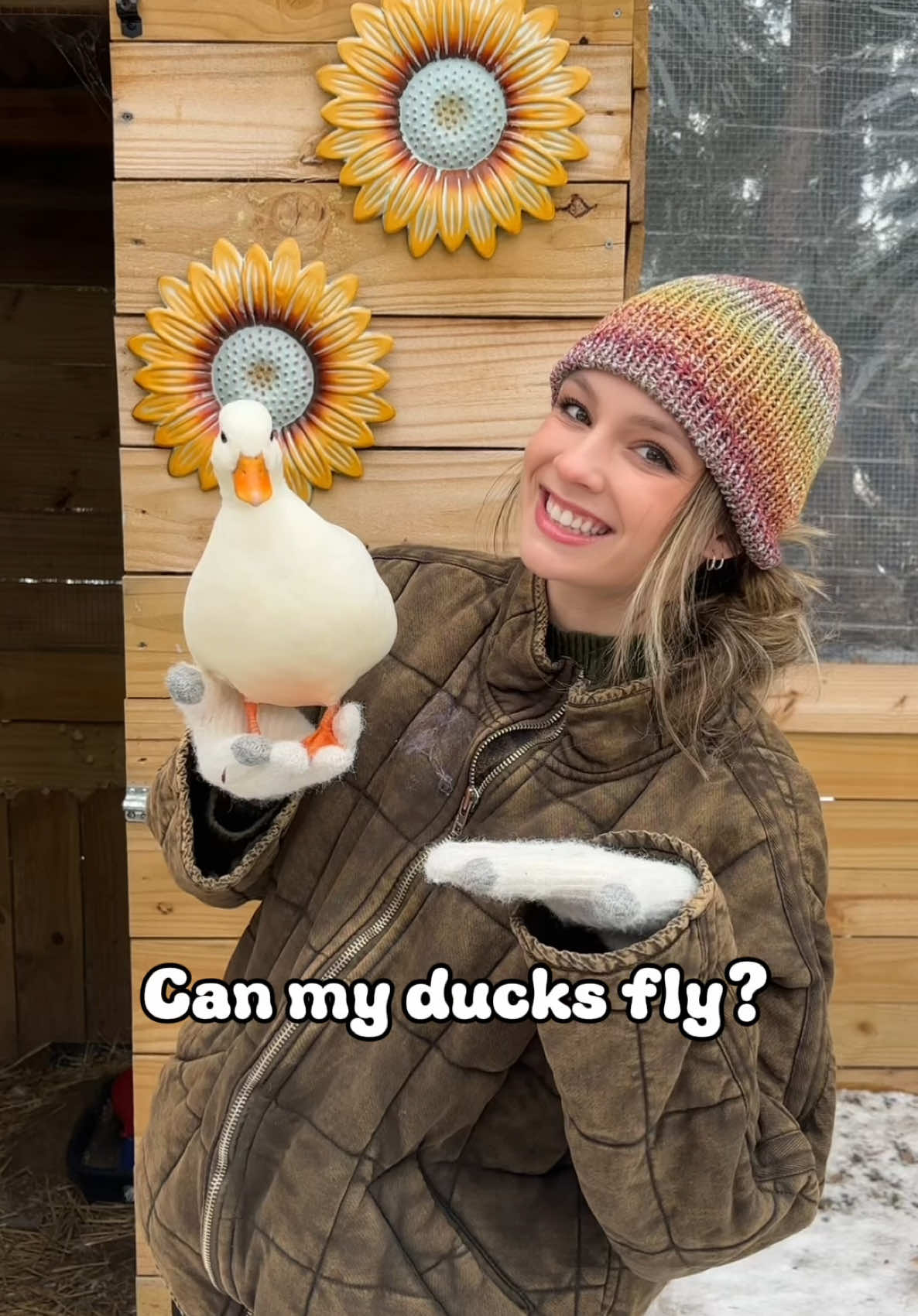 I’ve talked about this before WAY back but here’s the answer for those who have been asking lately! #ducks #ducksoftiktok🦆 #duck #homestead #petduck #ducks #ducktok🦆 