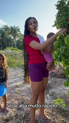 Colhendo fruta nativa #vidanositio #diad 