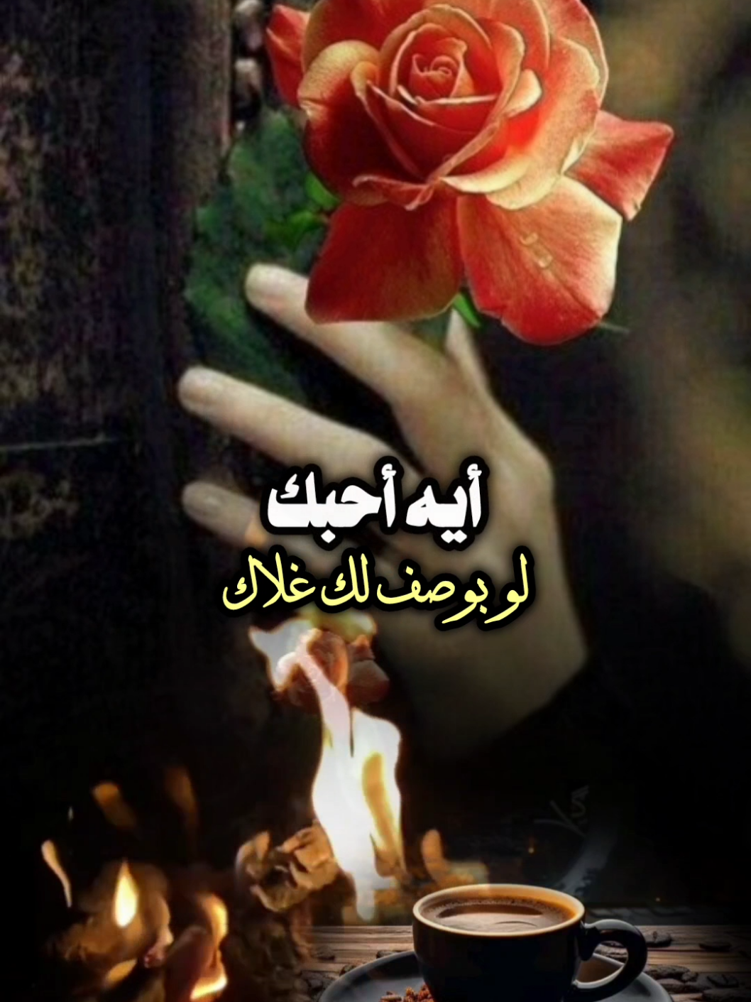 ياحلاة الصدفه #تصميمي_ابوشوق🌹 #خالد_الرشيدي #ياحلاة_الصدفه💗 #ايه_احبك💗 #foryou #foryou #trending #fyp #aboshoj 