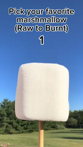 Pick your favorite .  .  .  .  .  .  .  .  .  .  .  .  .  .  Oddly satisfying ASMR #asmr #asmrfood #marshmallow #marshmallows #satisfying #oddlysatisfying #satisfyingvideo #asmrsounds #asmrvideo #asmrtiktoks #foodhacks #instagood #happy #followme #foryou #foryoupage #fyp: #foodporn #Foodie #foodies #hacks #viral #viralvideos #viralreels #sweet #trending #trendingsound #trendingvideos #relaxing