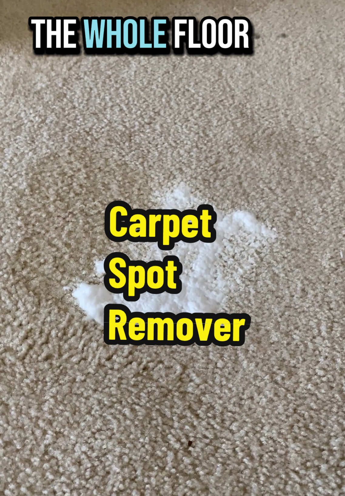 Carpet stain remover no bending easy to clean your spots on the floor #cleancarpets #cleantips#tiktokshopping 