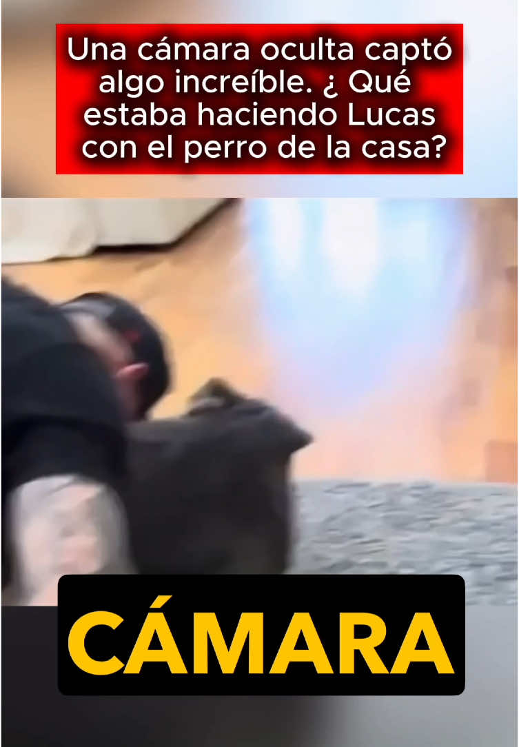 Una cámara oculta captó algo increíble. ¿Qué estaba haciendo Lucas con el perro de la casa? #usa #us #LearnOnTikTok #truestory