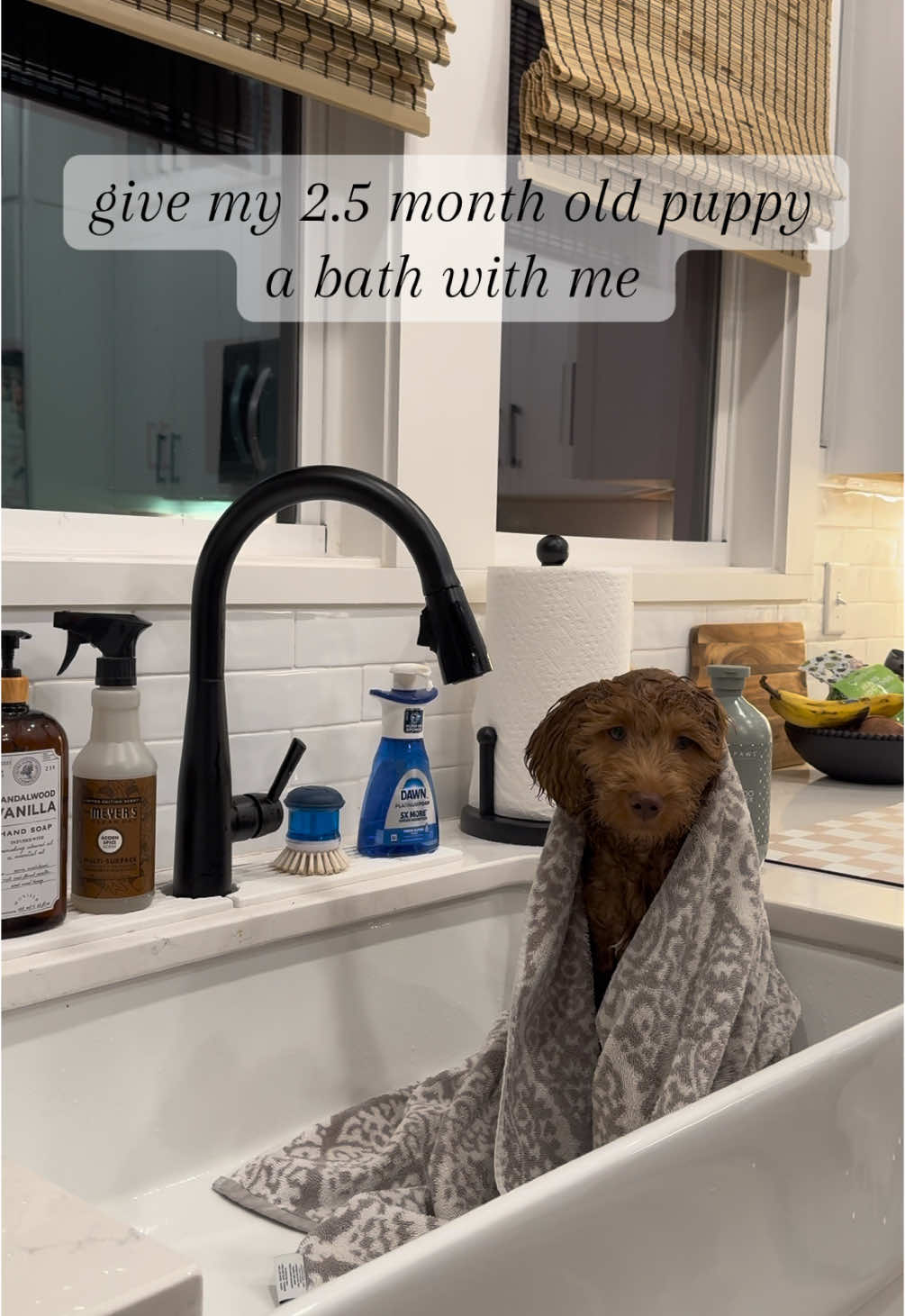 I wish they stayed this tiny forever!🐾🫧🛁  #goldendoodlepuppy #puppy #doodlesoftiktok #fyp #doodle #goldendoodle #puppytiktok #bathtime #routine #fypシ #cutedog 
