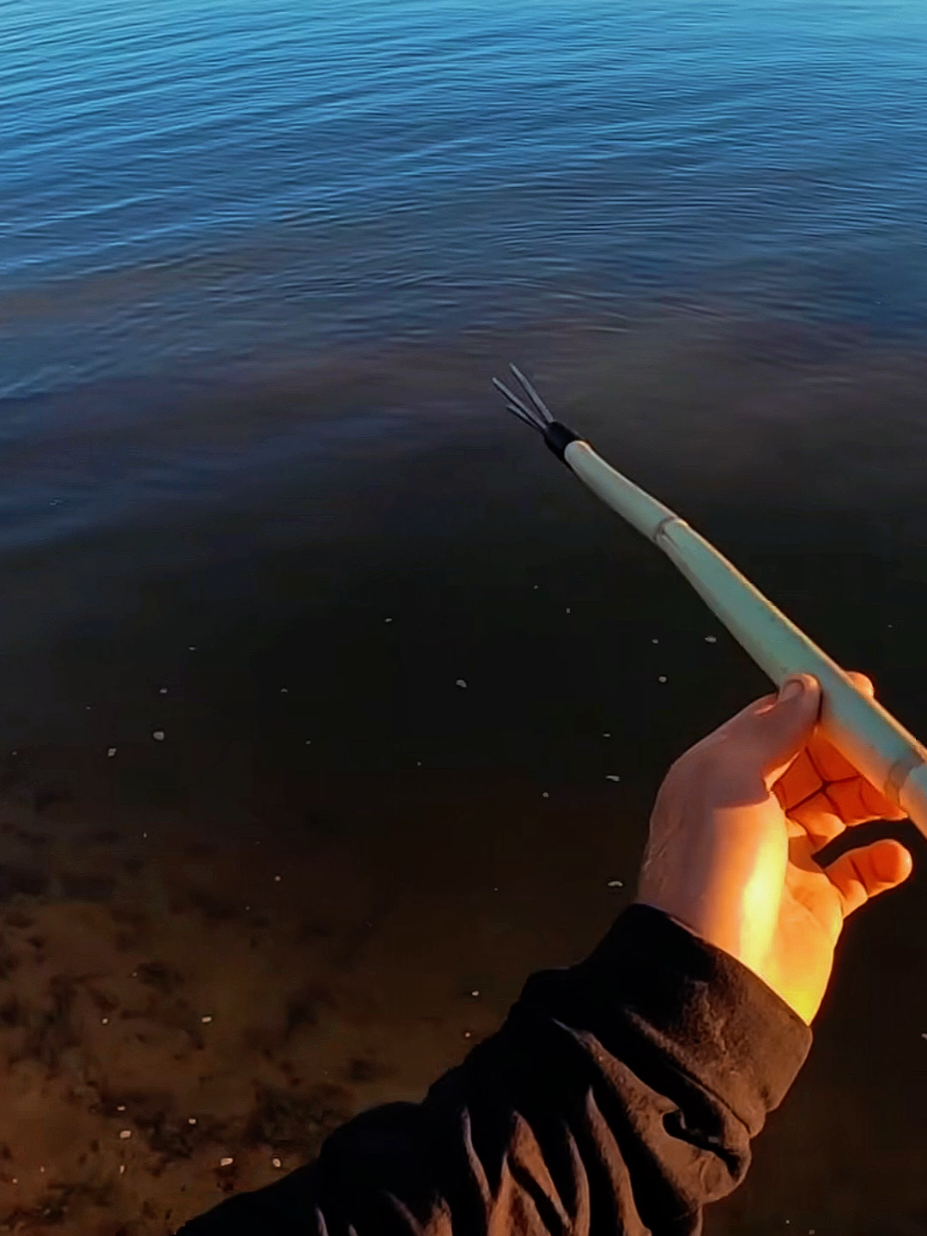 Hand spear fishing #spearfishing #bowfishing #fishing #catchandcook #Outdoors #camping #survival #fyp 