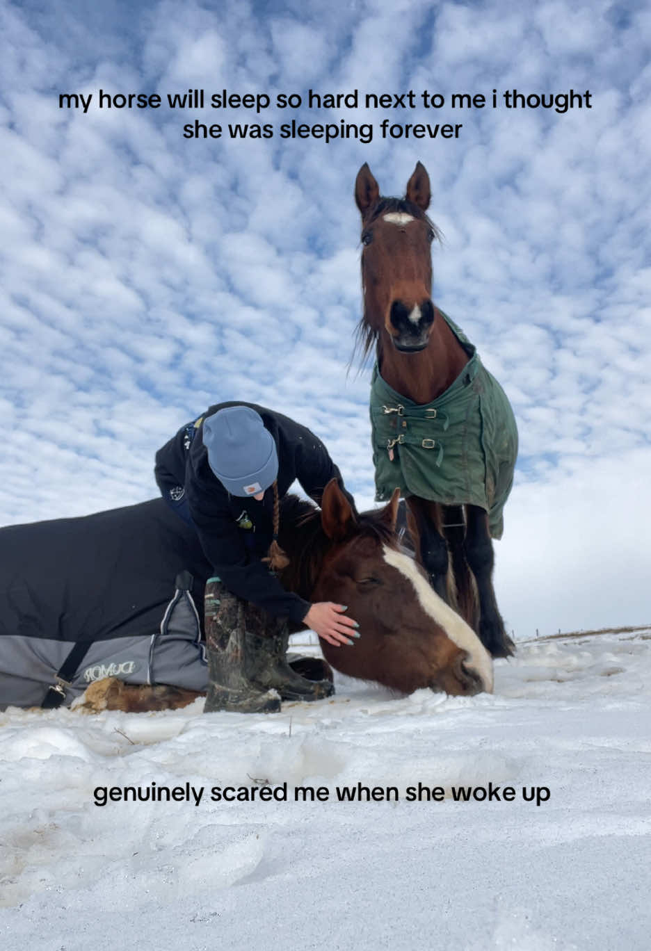 you can see me shaking in all of the videos because she was breathing but twitching and completely non responsive 🙃 just dreaming!💭 #fyp #equestrian #therapyhorse #mares #hearthorse #retired #horsesinwinter #snow2025 #horsessleeping 